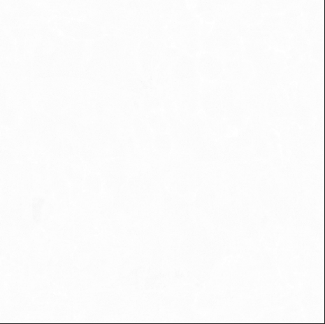 INFINITI 60X60 REGGIO WHITE